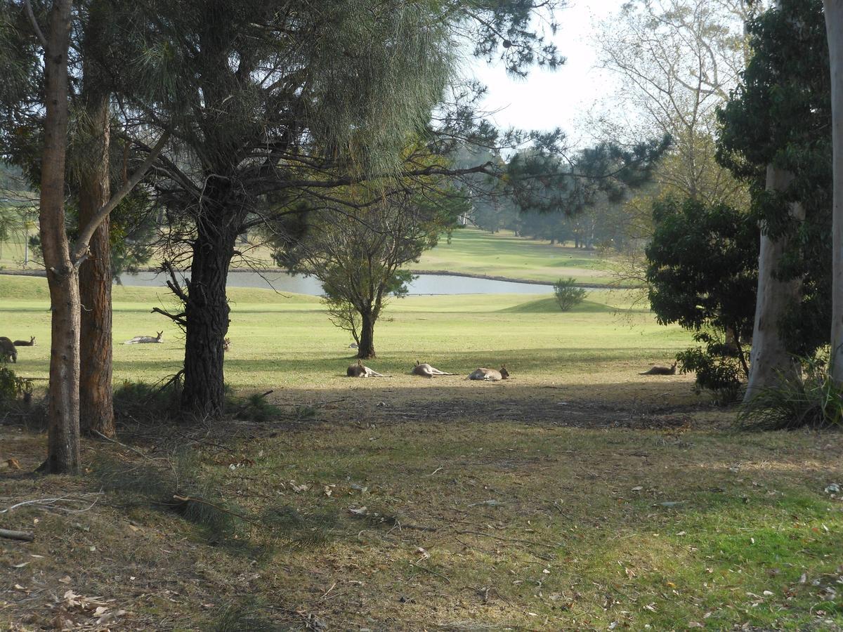 Golf View Motel Sanctuary Point Exterior photo